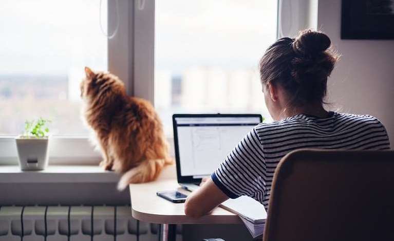 Storie di successo nel lavoro remoto